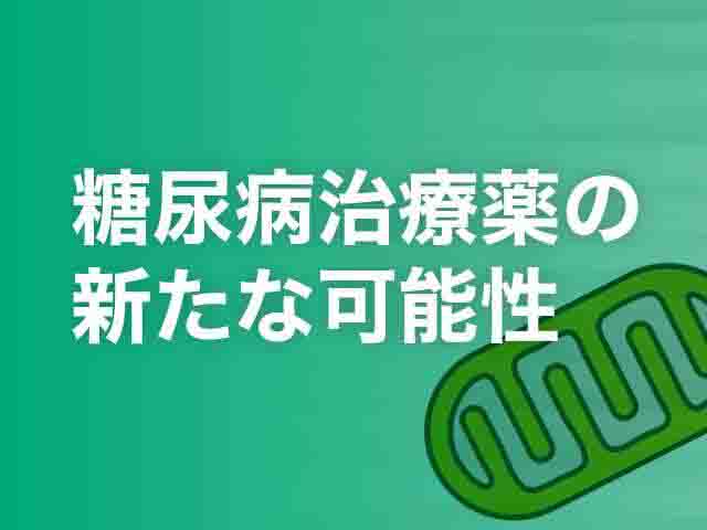 2型糖尿病の新薬「イメグリミンの推定作用機序と他剤併用」の画像