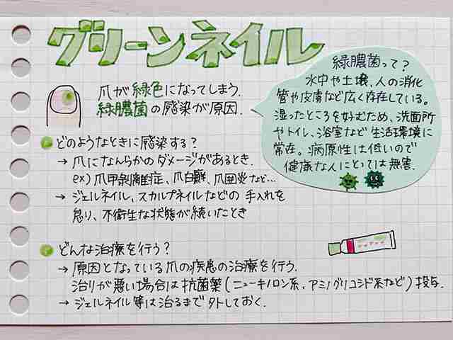 グリーンネイルとは?原因と治療法の画像