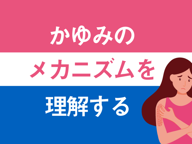 かゆみのメカニズム、説明できる?の画像