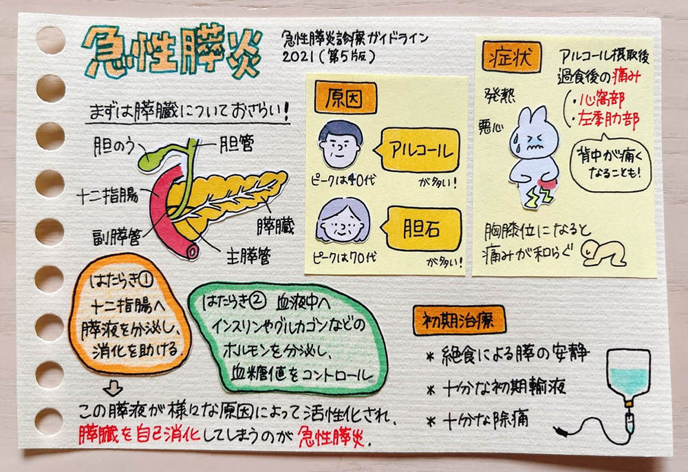 胆石を予防するためのヒント