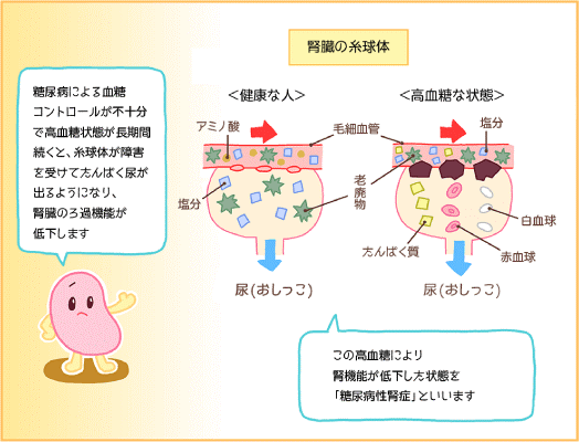 在宅薬剤師のためのフィジカルアセスメントの画像1